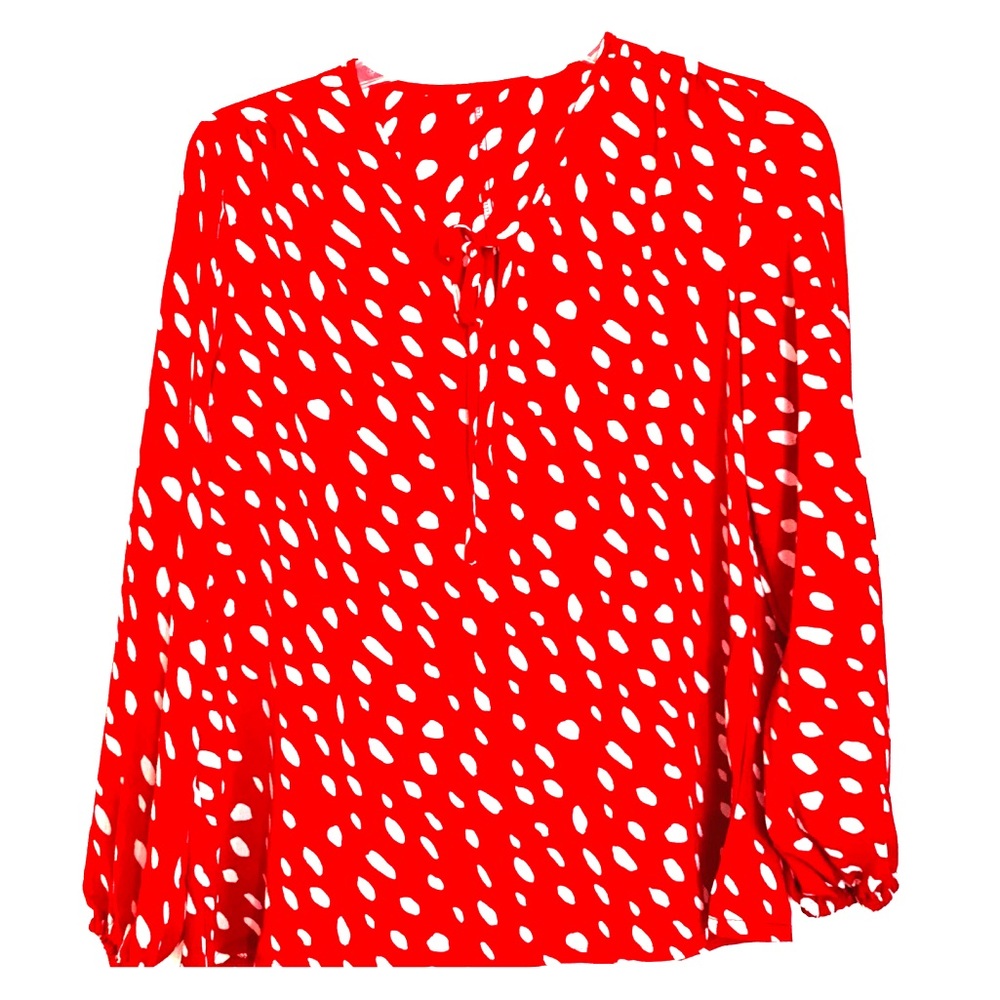 Red polka dot blouse.